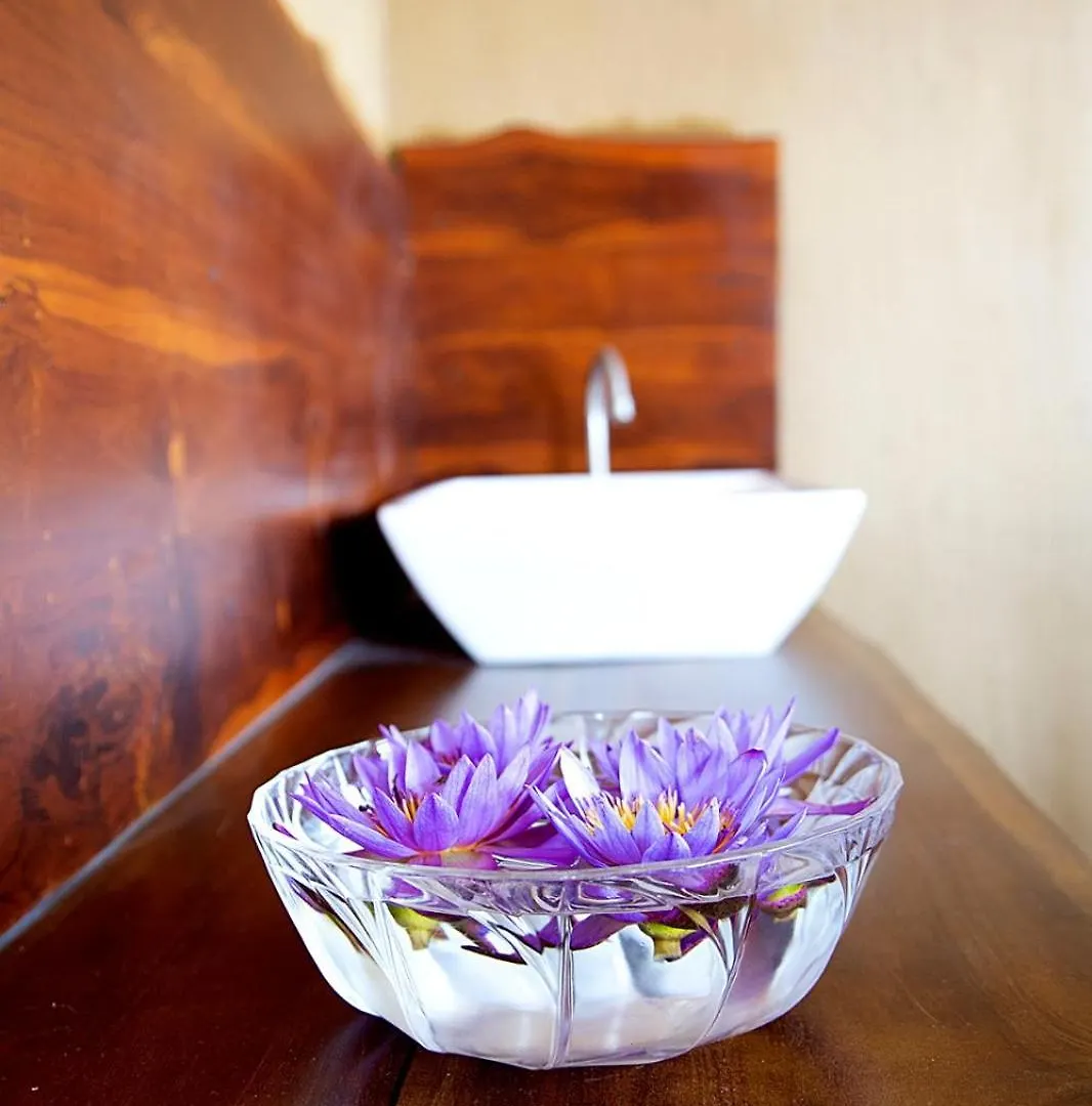 Guest house Negombo Green Palace